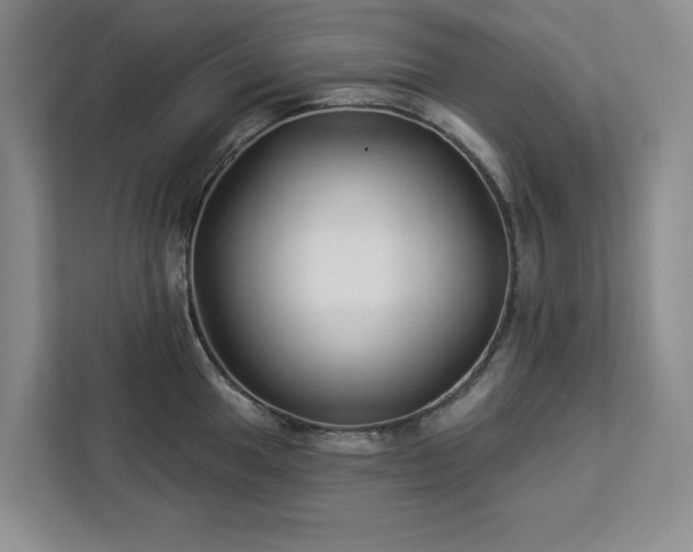 X0000112941049200908311445