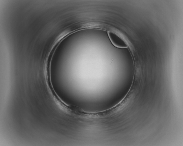 X0000112941050200908311445