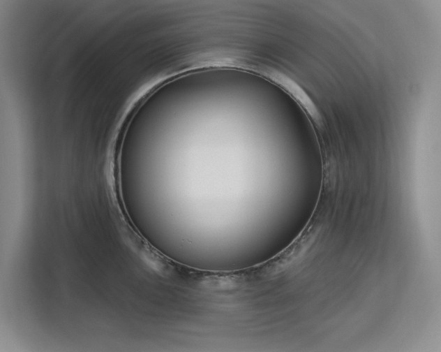 X0000112941051200908311445