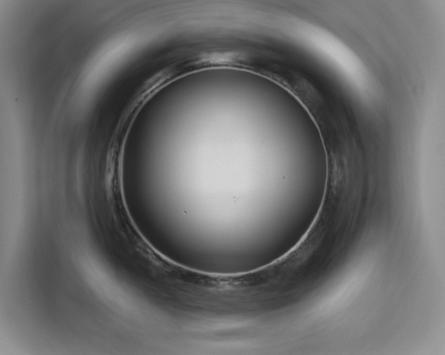 X0000112941052200908311445