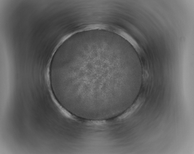 X0000112941055200908311445