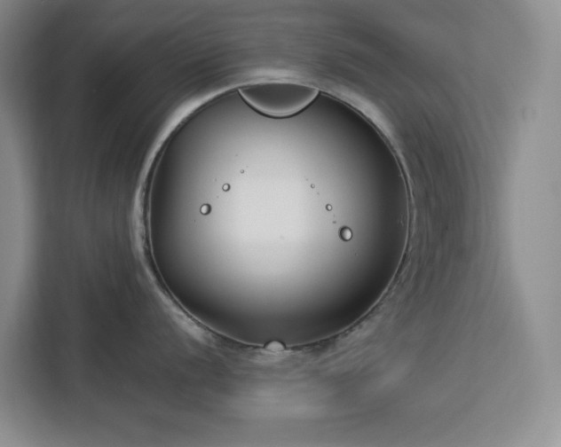 X0000112941056200908311445
