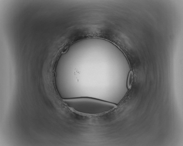 X0000112941057200908311445