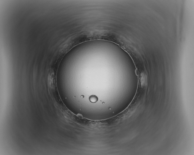 X0000112941059200908311444