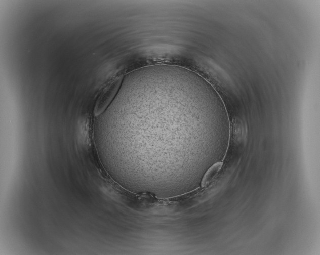 X0000112941060200908311444