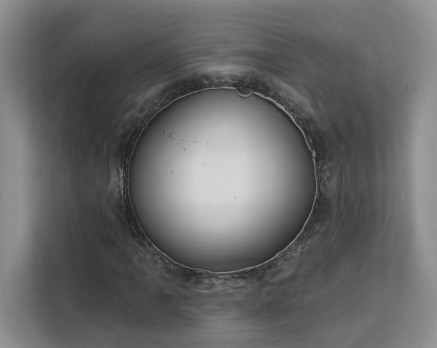 X0000112941061200908311444