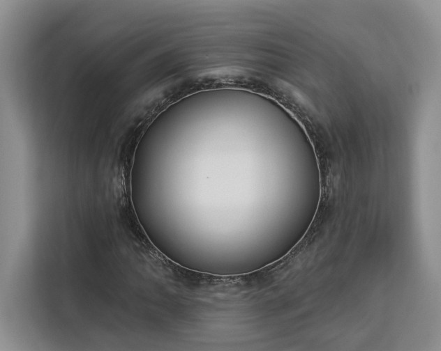 X0000112941062200908311444