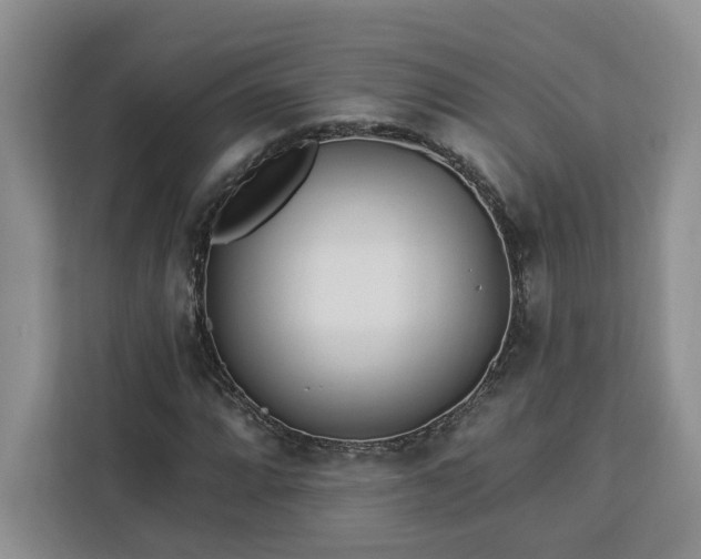 X0000112941064200908311444