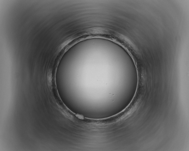 X0000112941065200908311444