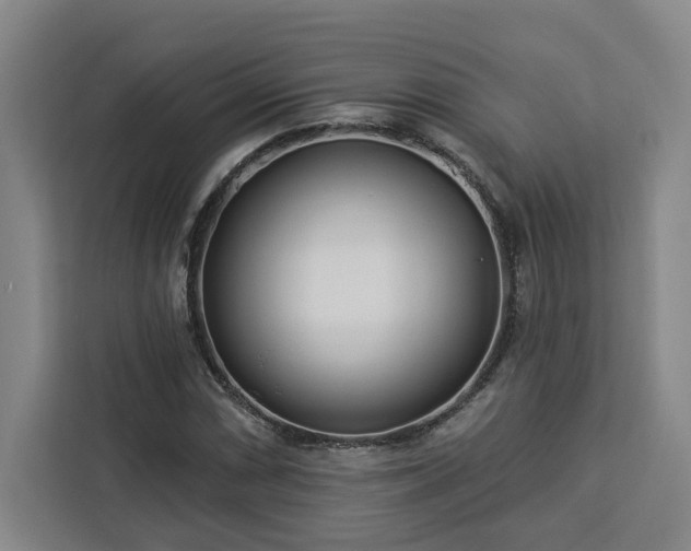 X0000112941066200908311444