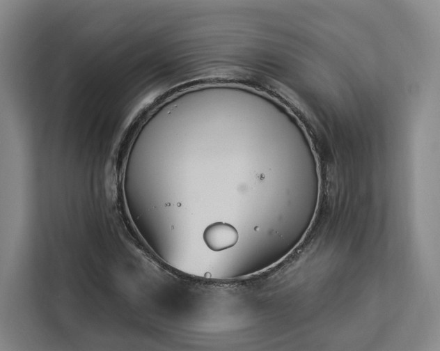 X0000112941067200908311444