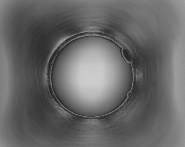 X0000112941068200908311444