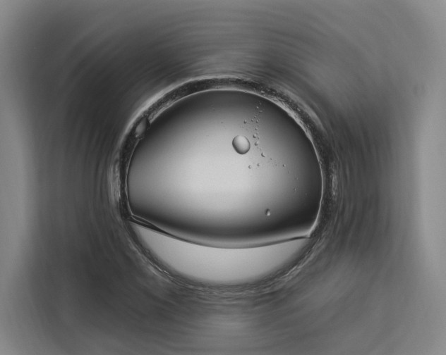 X0000112941069200908311444