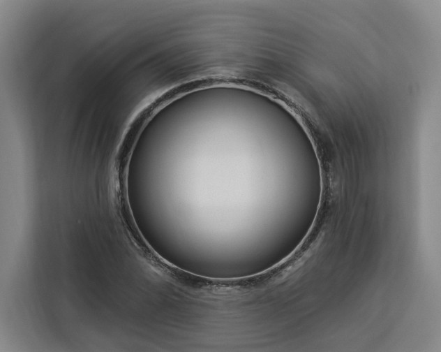 X0000112941070200908311444