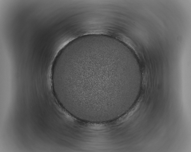 X0000112941071200908311444