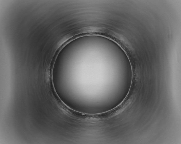 X0000112941073200908311444