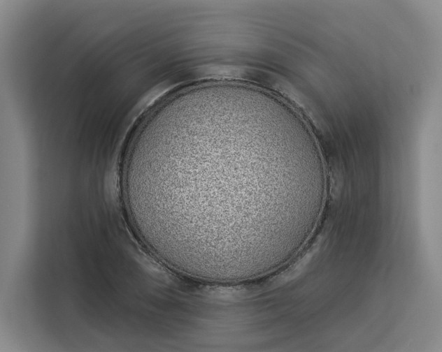 X0000112941074200908311444