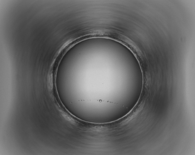 X0000112941075200908311444