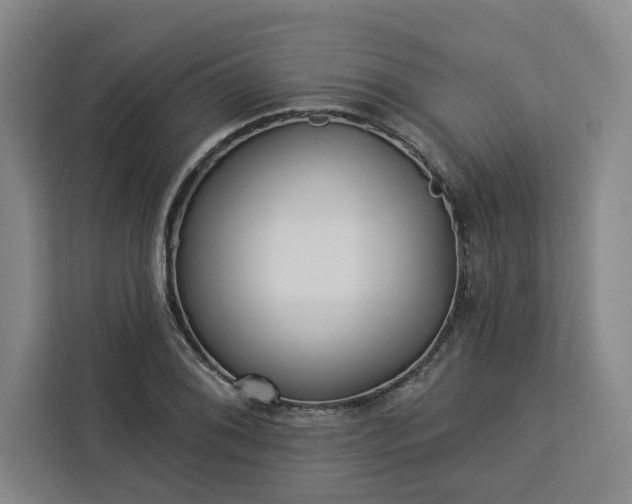 X0000112941076200908311444