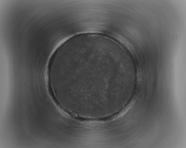 X0000112941077200908311444