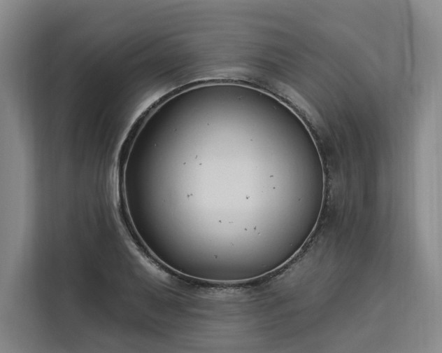 X0000112941079200908311444