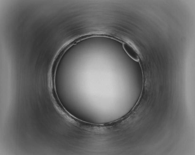 X0000112941080200908311444