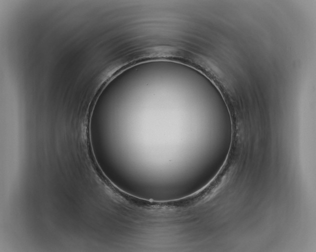 X0000112941081200908311444