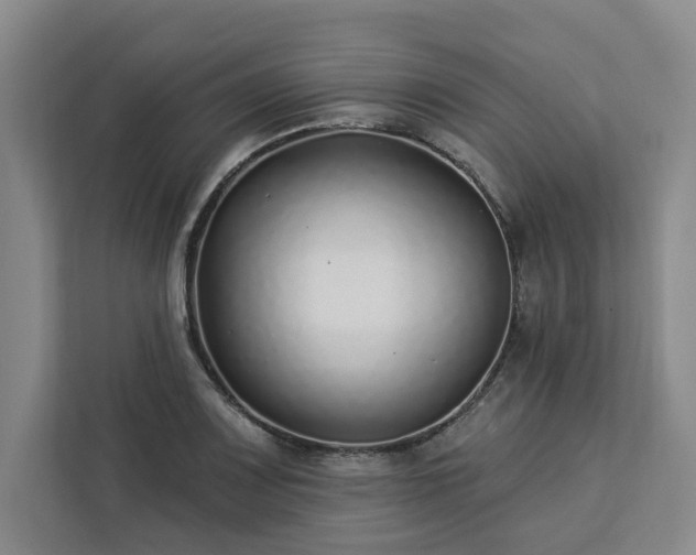 X0000112941083200908311444
