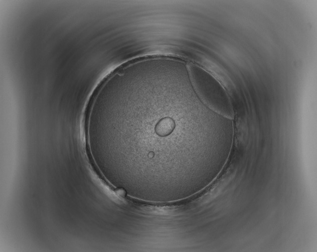 X0000112941084200908311444
