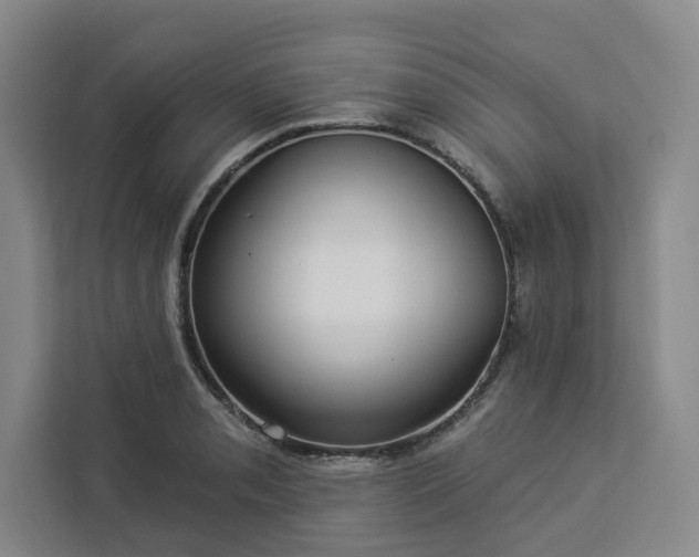 X0000112941085200908311444