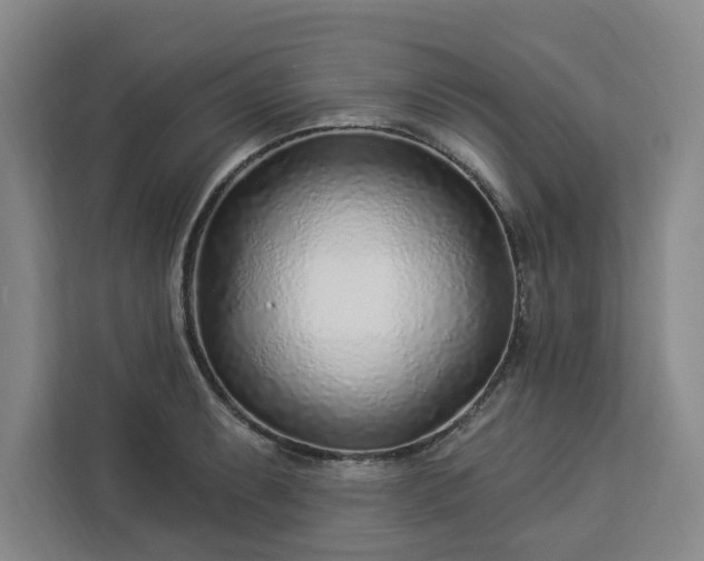 X0000112941087200908311444
