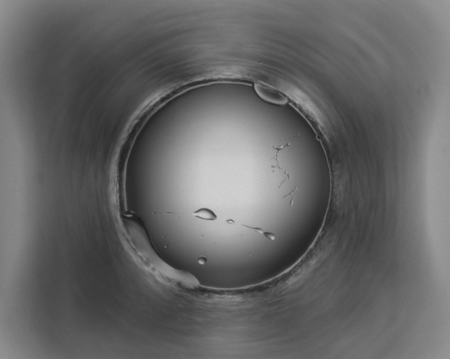 X0000112941088200908311444