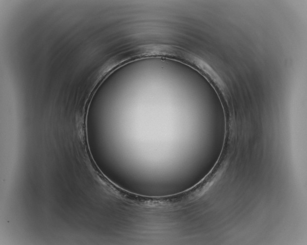 X0000112941089200908311444
