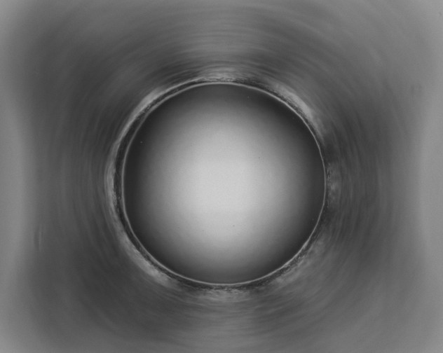X0000112941091200908311444