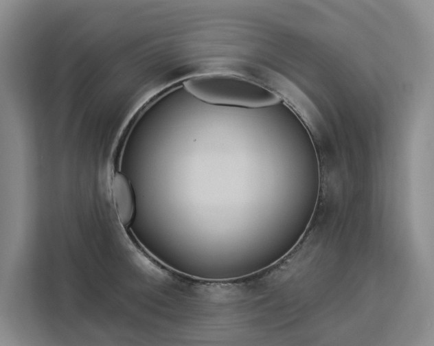 X0000112941092200908311444