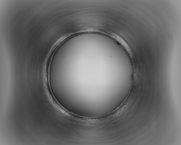 X0000112941096200908311444