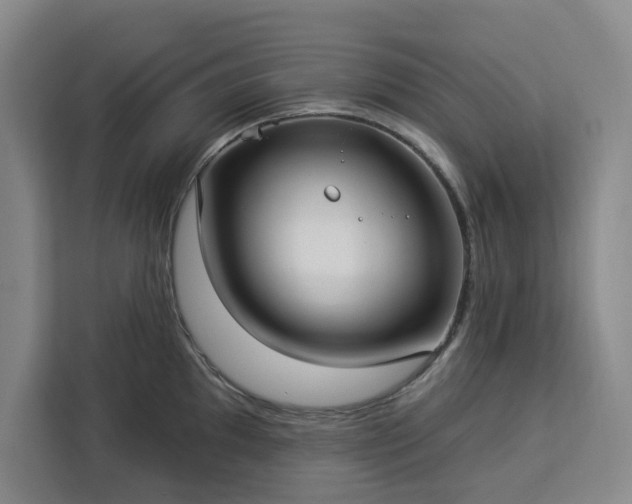 X0000112941097200908311444