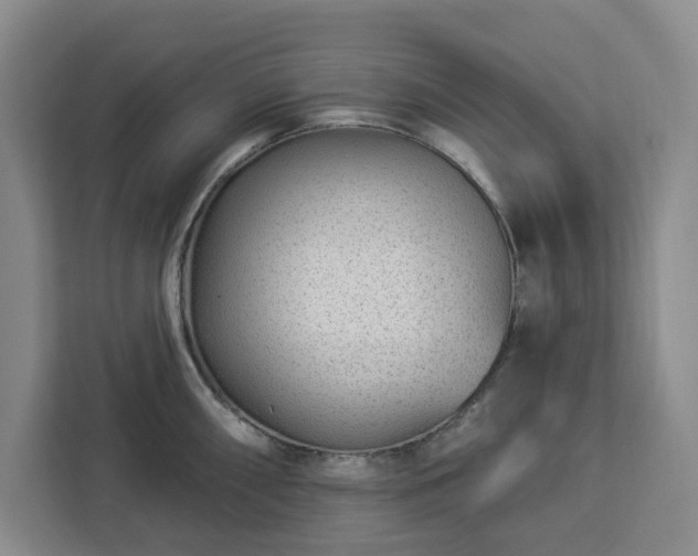 X0000112941098200908311444
