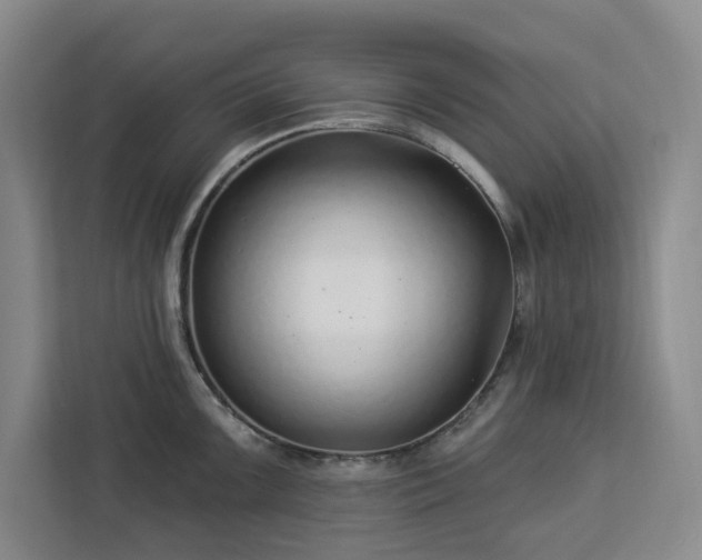 X0000112941099200908311444