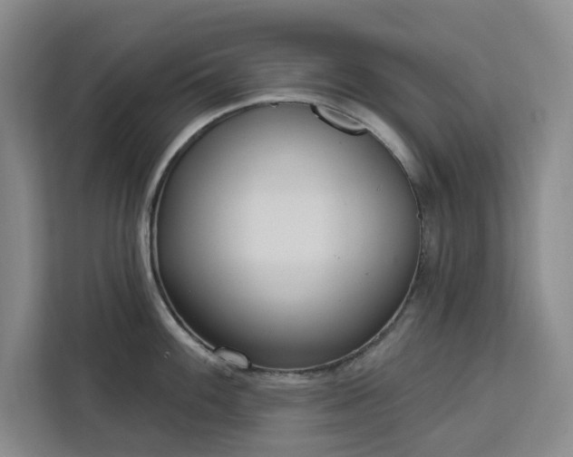 X0000112941100200908311444