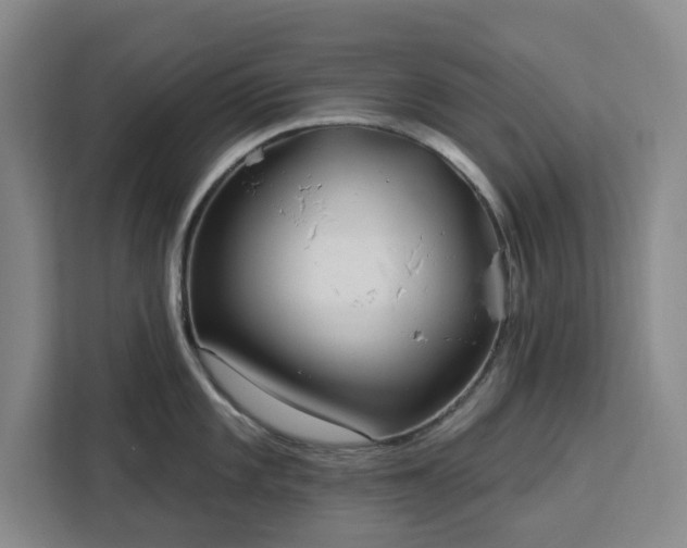 X0000112941101200908311444