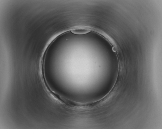 X0000112941102200908311444