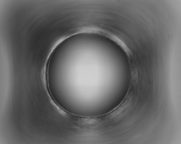 X0000112941103200908311444