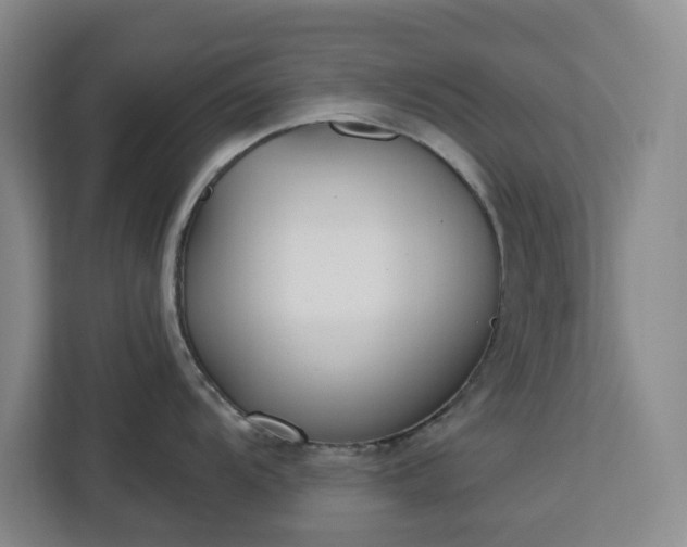 X0000112941104200908311444