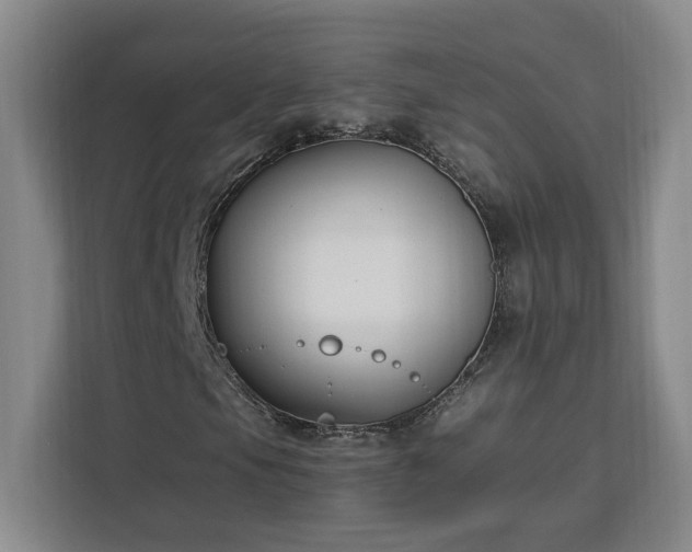 X0000112941105200908311443