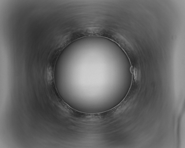 X0000112941107200908311443