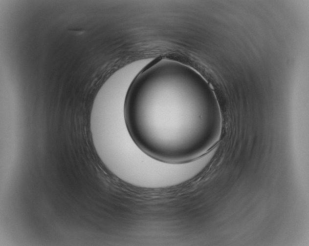 X0000112941108200908311443