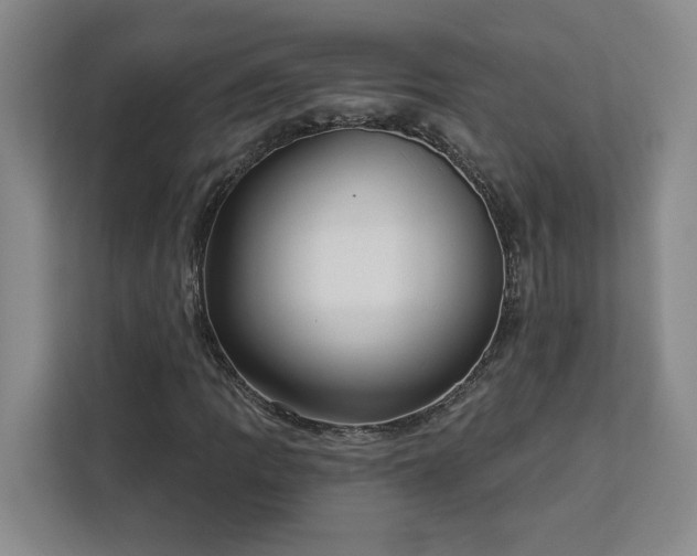 X0000112941109200908311443