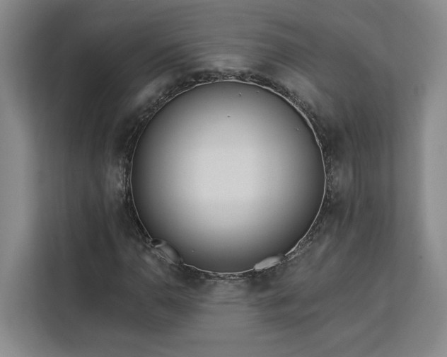 X0000112941110200908311443