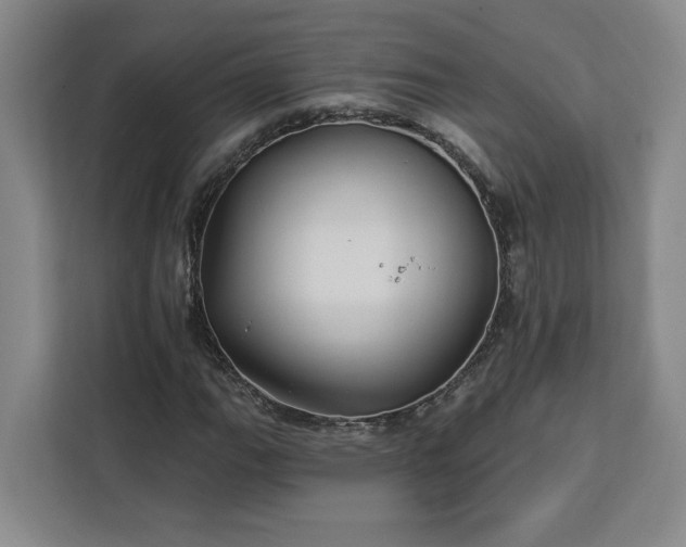 X0000112941111200908311443
